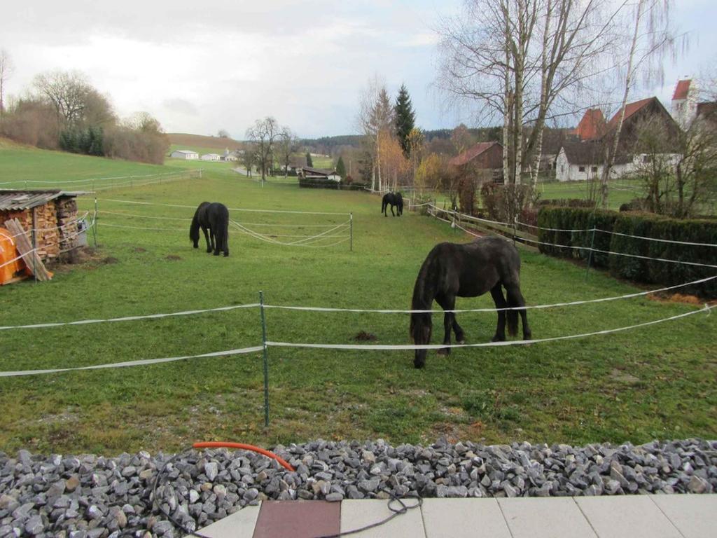 Ferienwohnung Am Weinberg 奥斯特拉赫 外观 照片